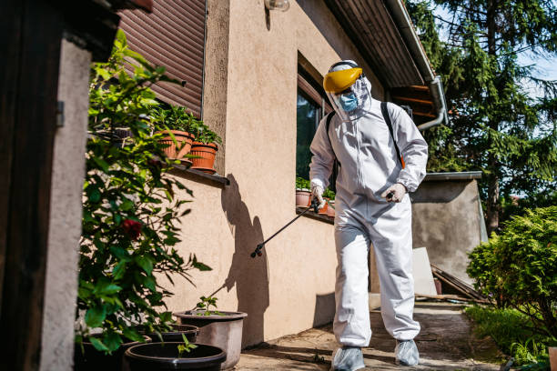 Best Mosquito Control Services  in Jeannette, PA